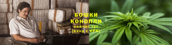 сатива Баксан